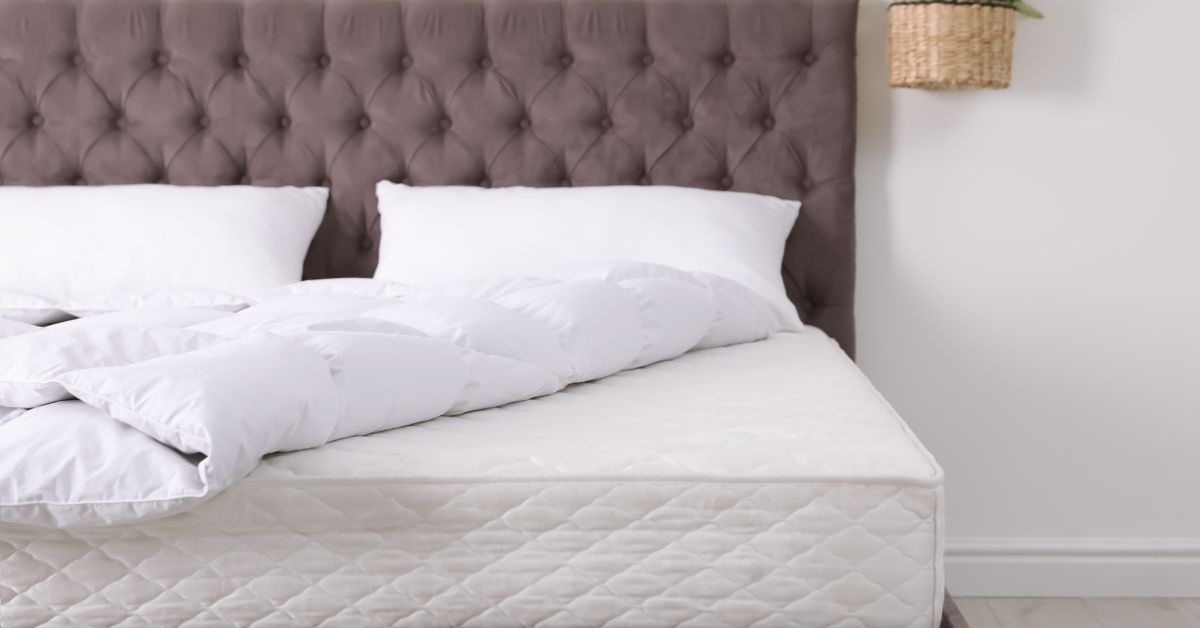 By the window, wooden living Room table with 6 chairs around